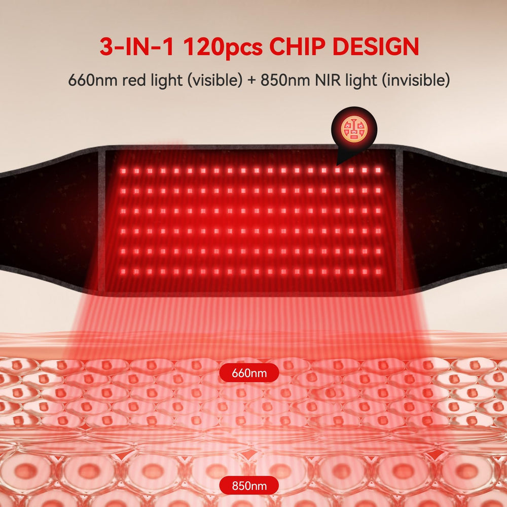 LAFCARE red light belt dual-wavelength LEDs glow over the waist.