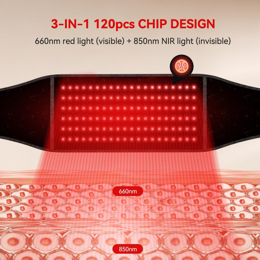 LAFCARE red light belt dual-wavelength LEDs glow over the waist.