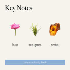 LAFCO New York Sea and Dune fragrance featuring lemon and lily for a fresh mood.