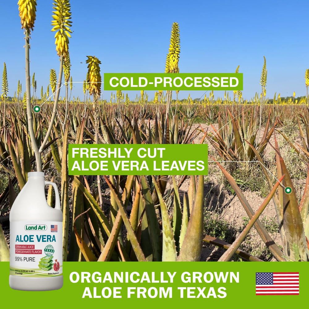 Land Art Cold-Processed Aloe Vera Juice liquid preserves enzymes