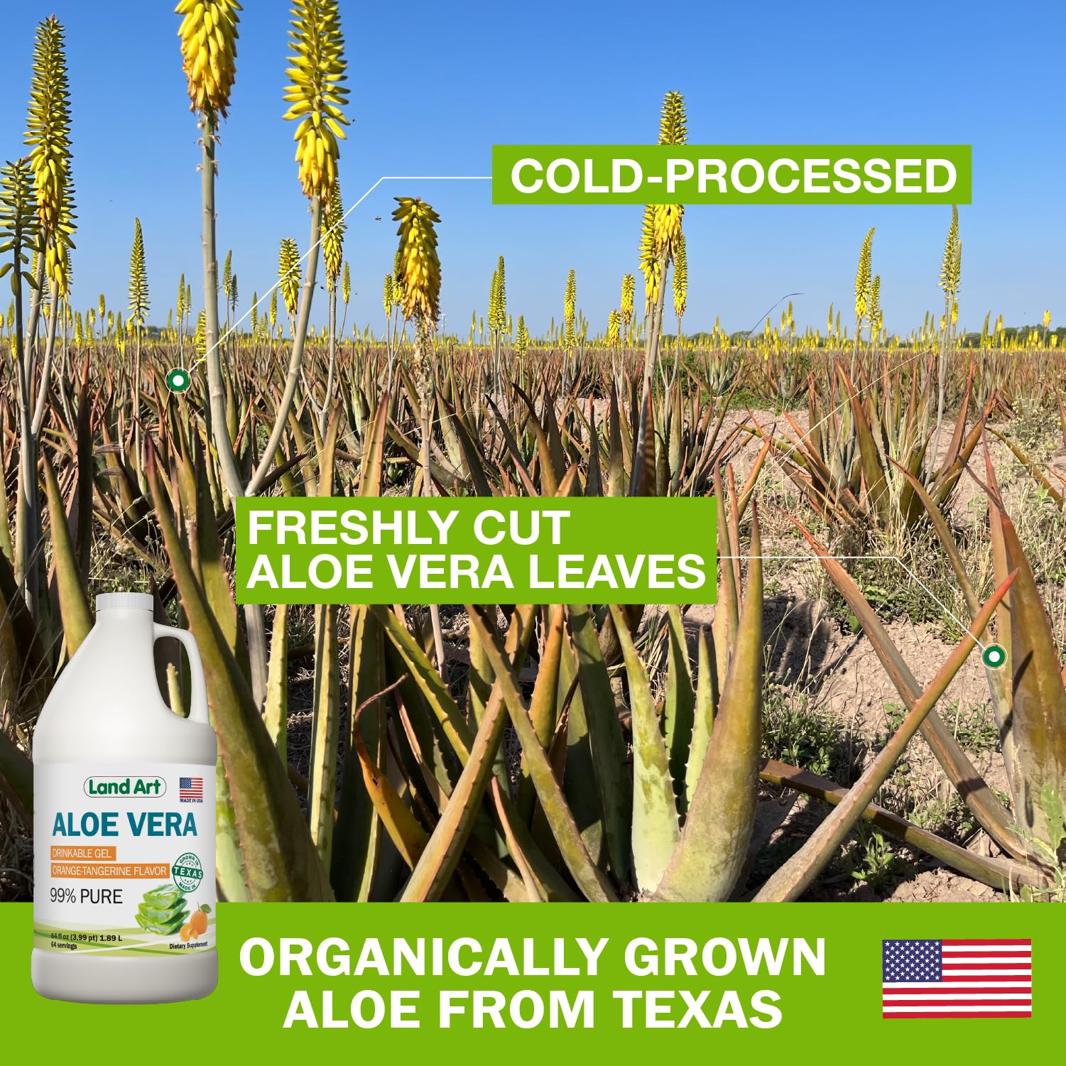 Organic Texas aloe leaves used by Land Art for pure gel