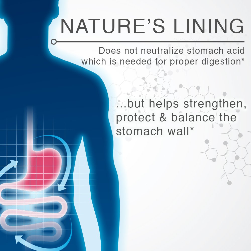 Lane Innovative Nature's Lining in-use tablet for everyday digestive balance