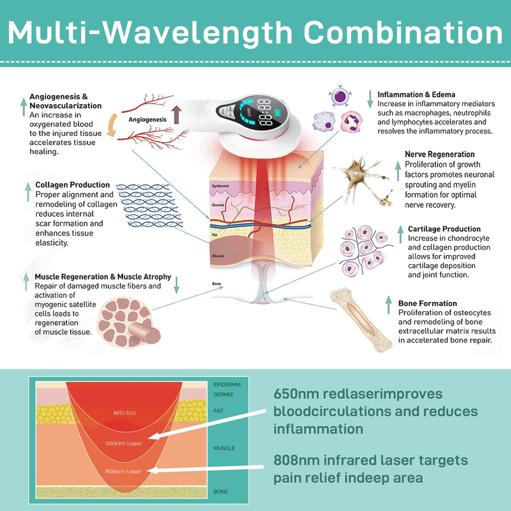LASWHGDPET 650nm and 808nm beam technology for deep treatment.
