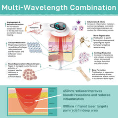 LASWHGDPET 650nm and 808nm beam technology for deep treatment.