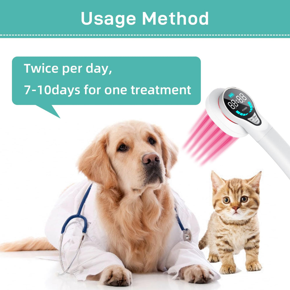 LASWHGDPET dog use case shows comfort during therapy session.