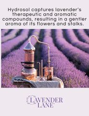 Lavender Lane hydrosol bottle with USA farm label.