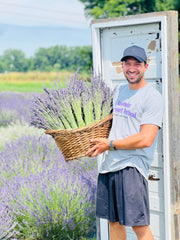Lavender Lane distillation process scene highlighting farm-sourced hydrosol.