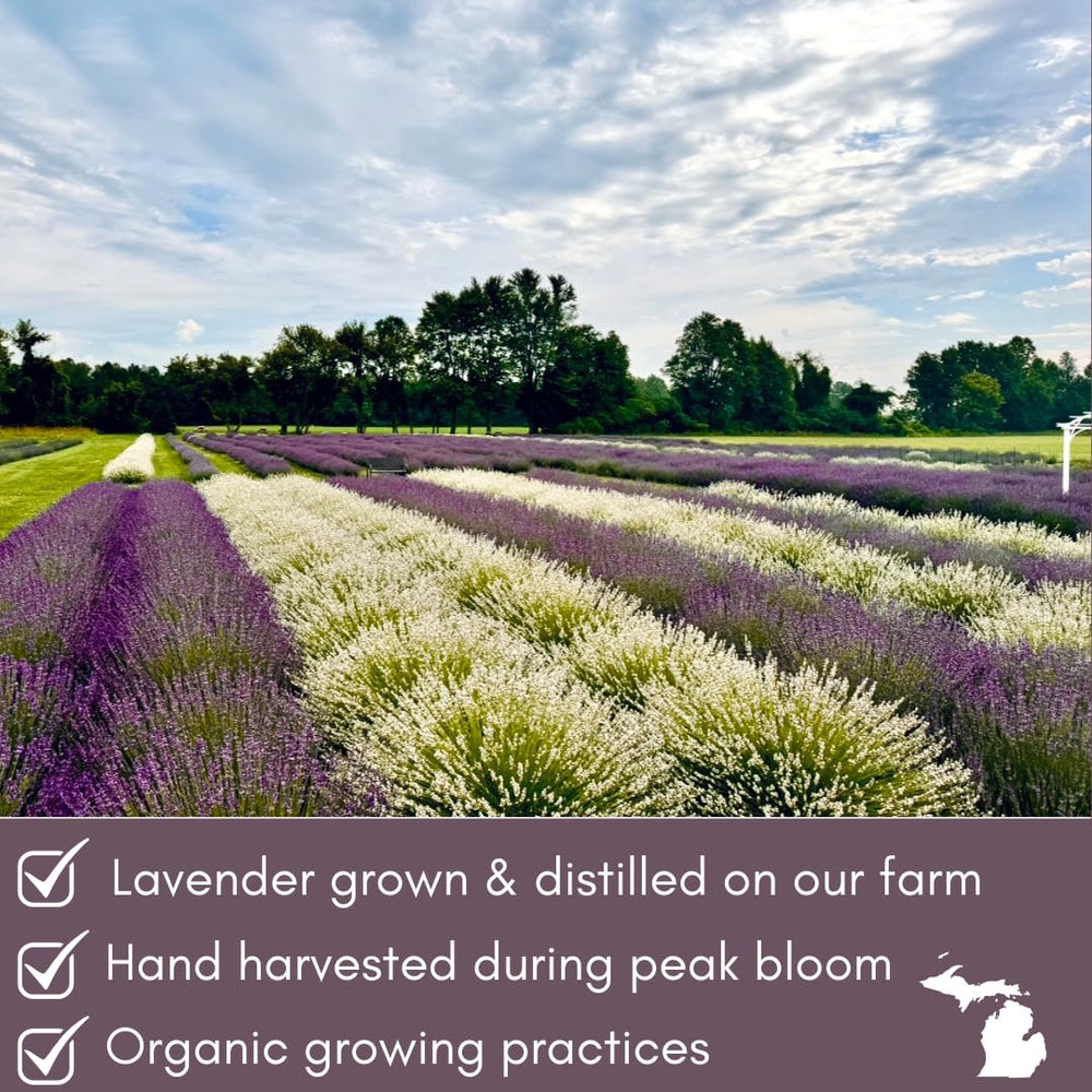 Lavender Lane linen and bed spray for fresh textiles