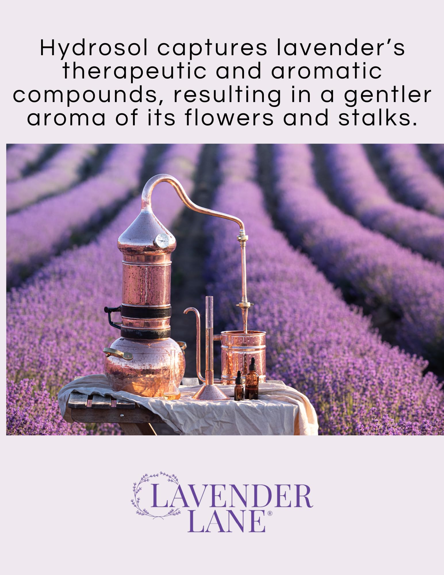 Lavender Lane room mist diffusion for ambiance