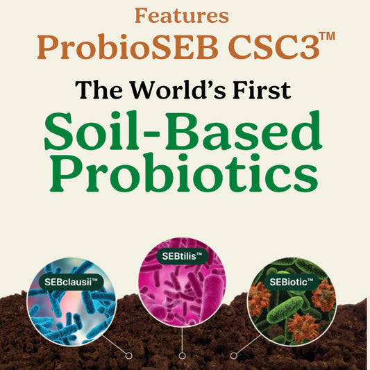 Best Days Formula capsules ready to take for daily gut support and comfort.