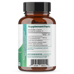 Layer Origin PureHMO 2'-FL powder ready to mix into drinks or yogurt for fiber support.