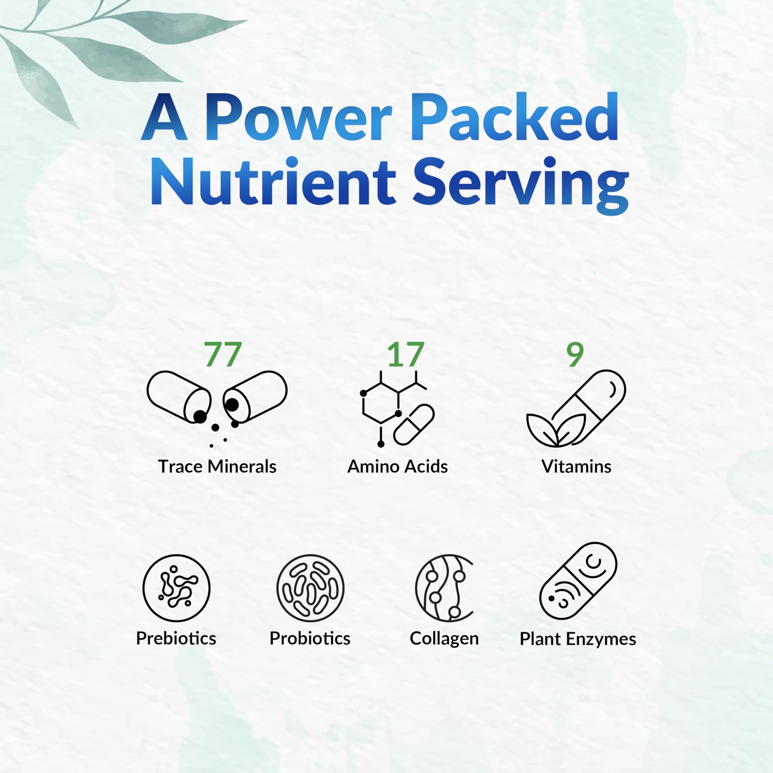 LEAFSOURCE Shilajit label detail suggests trace minerals for nutrition.