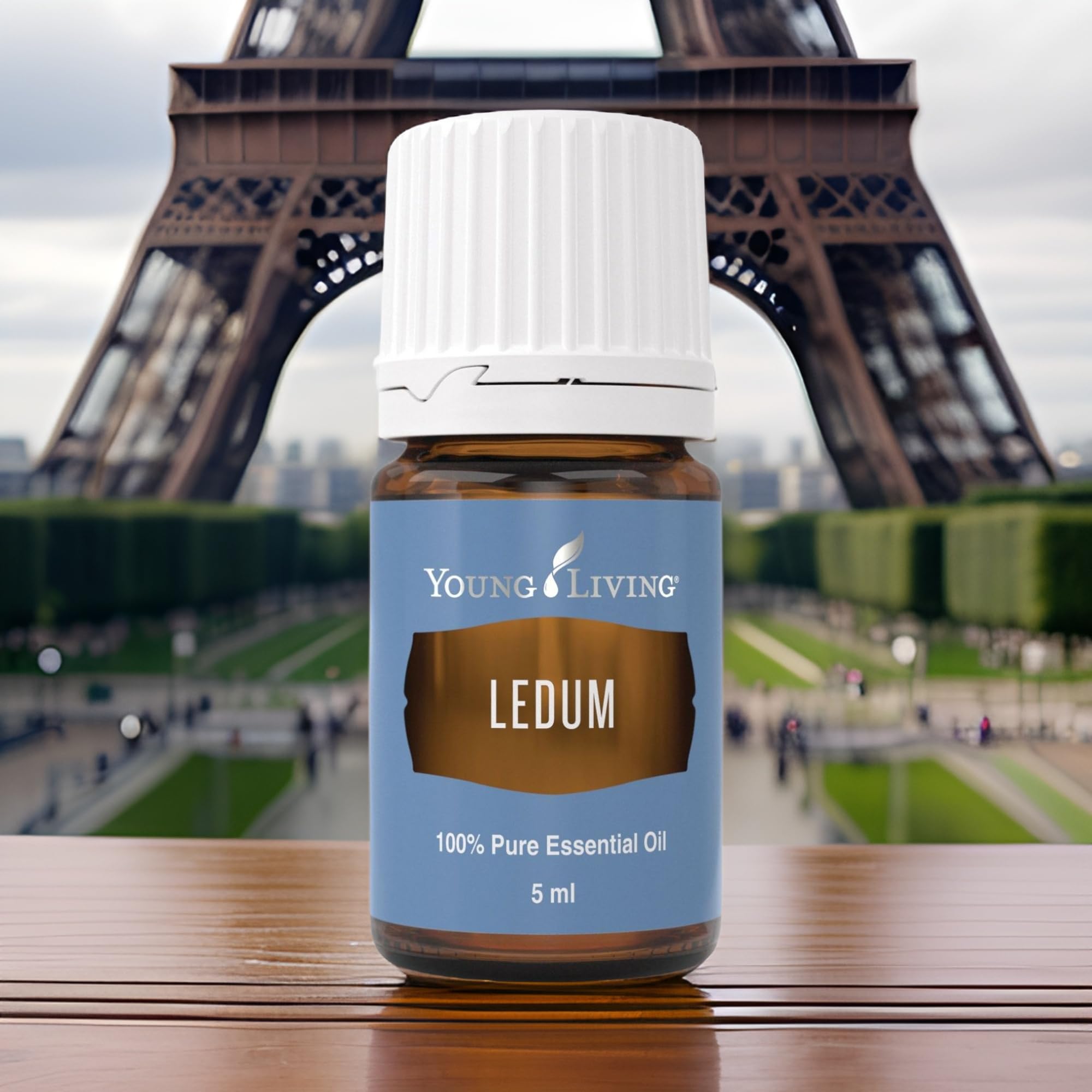 Ledum Premium Oil diffuser steam creates a tranquil, sacred atmosphere during practice