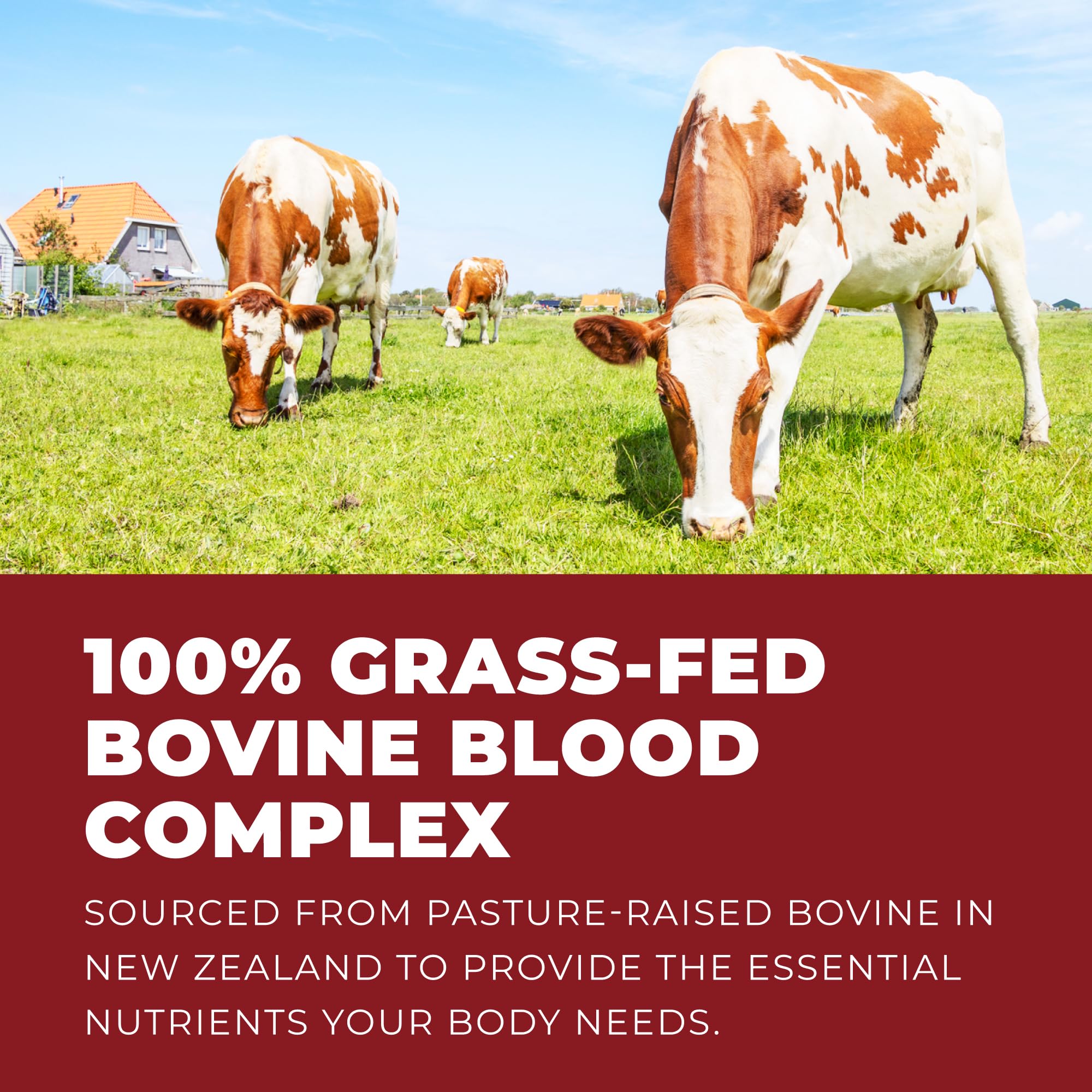 Left Coast Performance New Zealand origin noted on packaging for traceability
