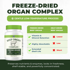 Left Coast Performance nutrient balance visual suggests vitamins and enzymes.