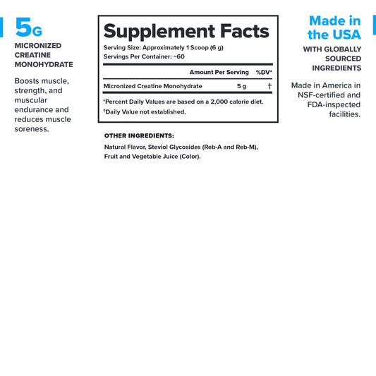 LEGION creatine powder scoop measures a consistent serving for stable intake