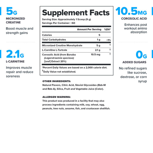 LEGION Recharge micronized creatine monohydrate powder highlighting purity and potency