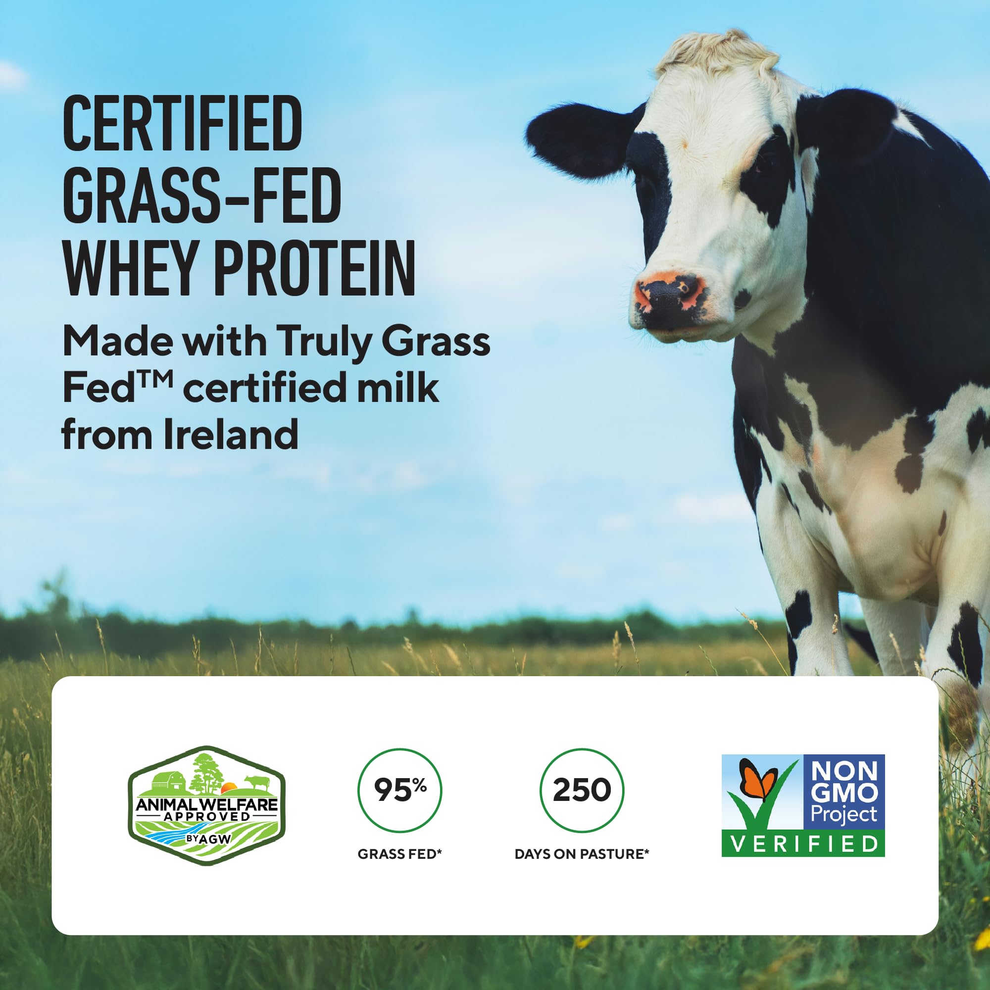 LEGION Whey+ grass-fed milk bottle showcases natural origin.