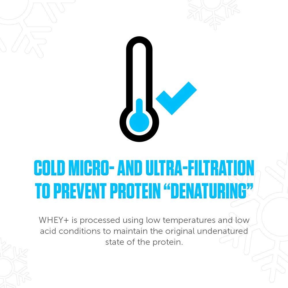 LEGION Whey+ lab certificate confirms purity and testing