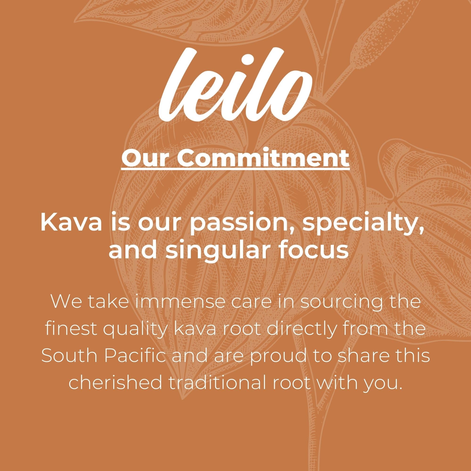 Relaxing moment with Leilo Kava Moscow Mule in a glass