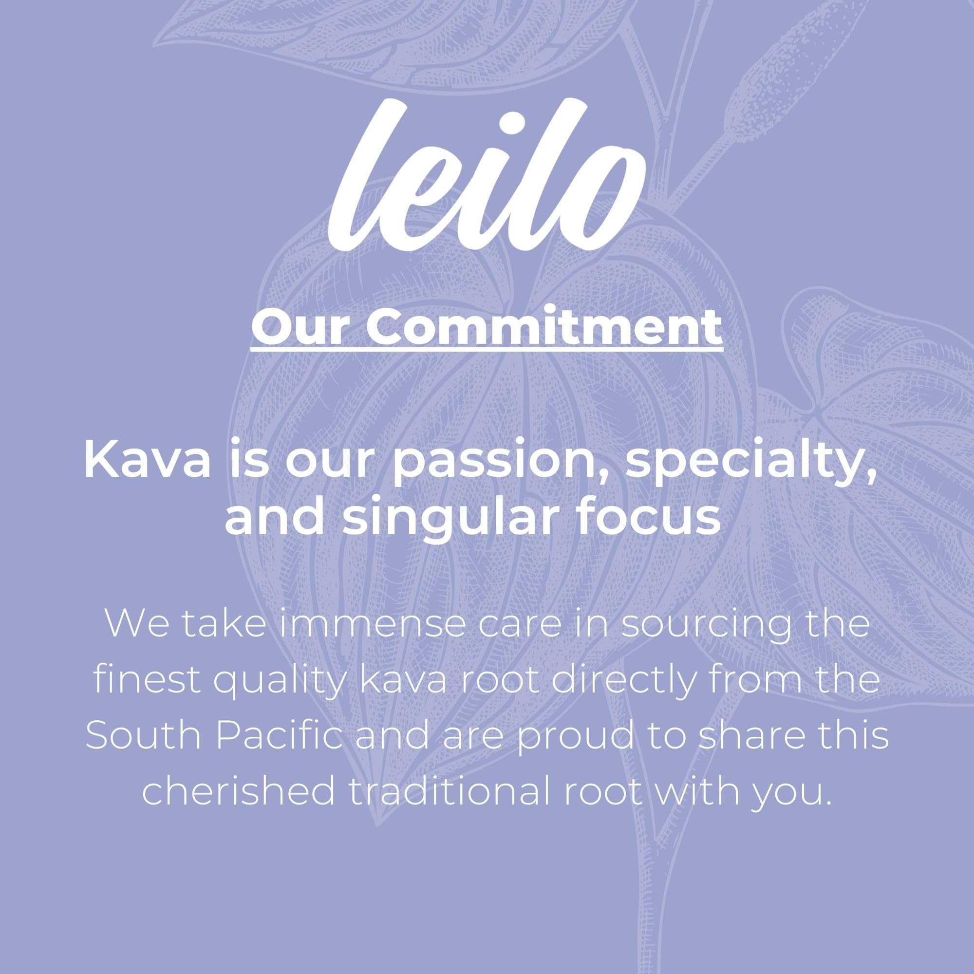 Leilo Kava Relaxation glass serve with sparkling aroma.