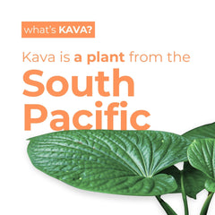 Leilo kava sparkling relaxation open can closeup shows the vibrant fizz and citrus aroma.
