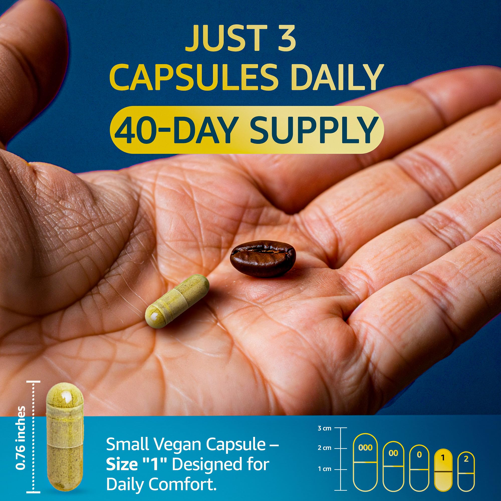 LetaGreen Phosphatidylcholine and Phosphatidylserine for nutrient synergy.