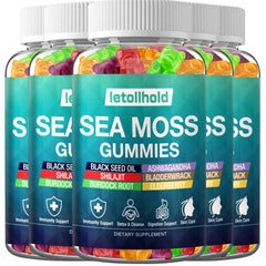 Letollhold Sea Moss Gummies bottle front—vegan immune-support supplement.