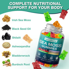 Letollhold Sea Moss Gummies ingredients blend with seaweed and botanicals.