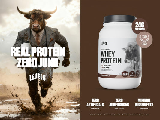 Levels Grass Fed Whey Chocolate Mocha scoop on tub for precise portions