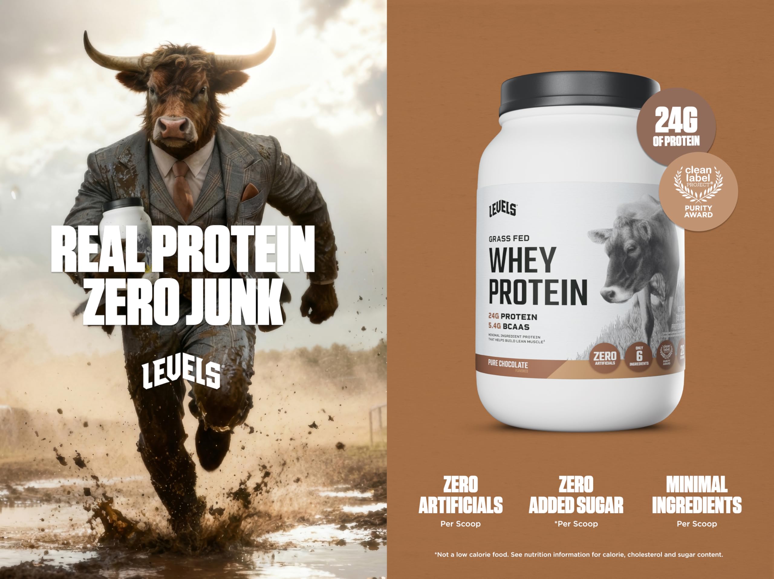 Levels Grass Fed Whey powder scoop ready for post-workout servings.