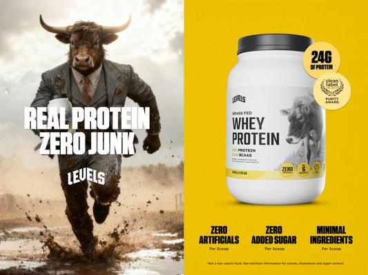 Levels Vanilla Bean whey label highlights 24g protein per scoop and no added sugars.