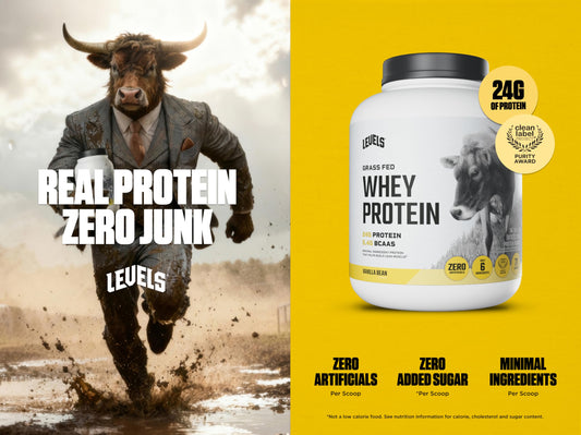 Levels Grass-Fed Whey Vanilla Bean powder canister ready for daily shakes