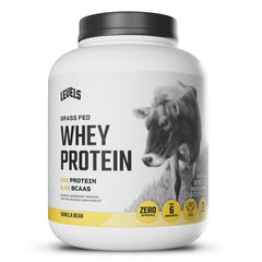 Levels Grass-Fed Whey Vanilla Bean scoop delivers a clean protein boost for post-workout