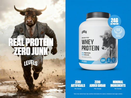 Levels unflavored whey close-up texture, ideal for versatile mixing with no added flavors.