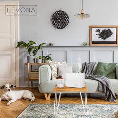Levona Scent Sea Water bottle neck fit design for easy diffuser swapping