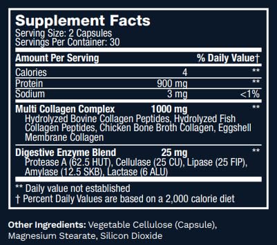 Lewis Labs Multi Collagen Powder scoop for convenient daily nutrition.