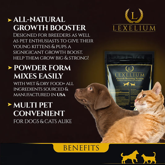 Lexelium weight gainer cat bowl mix shows easy food integration.