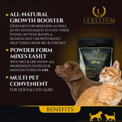 Lexelium weight gainer cat bowl mix shows easy food integration.