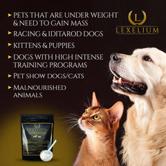 Hydrolyzed beef in Lexelium gainer supports protein absorption.