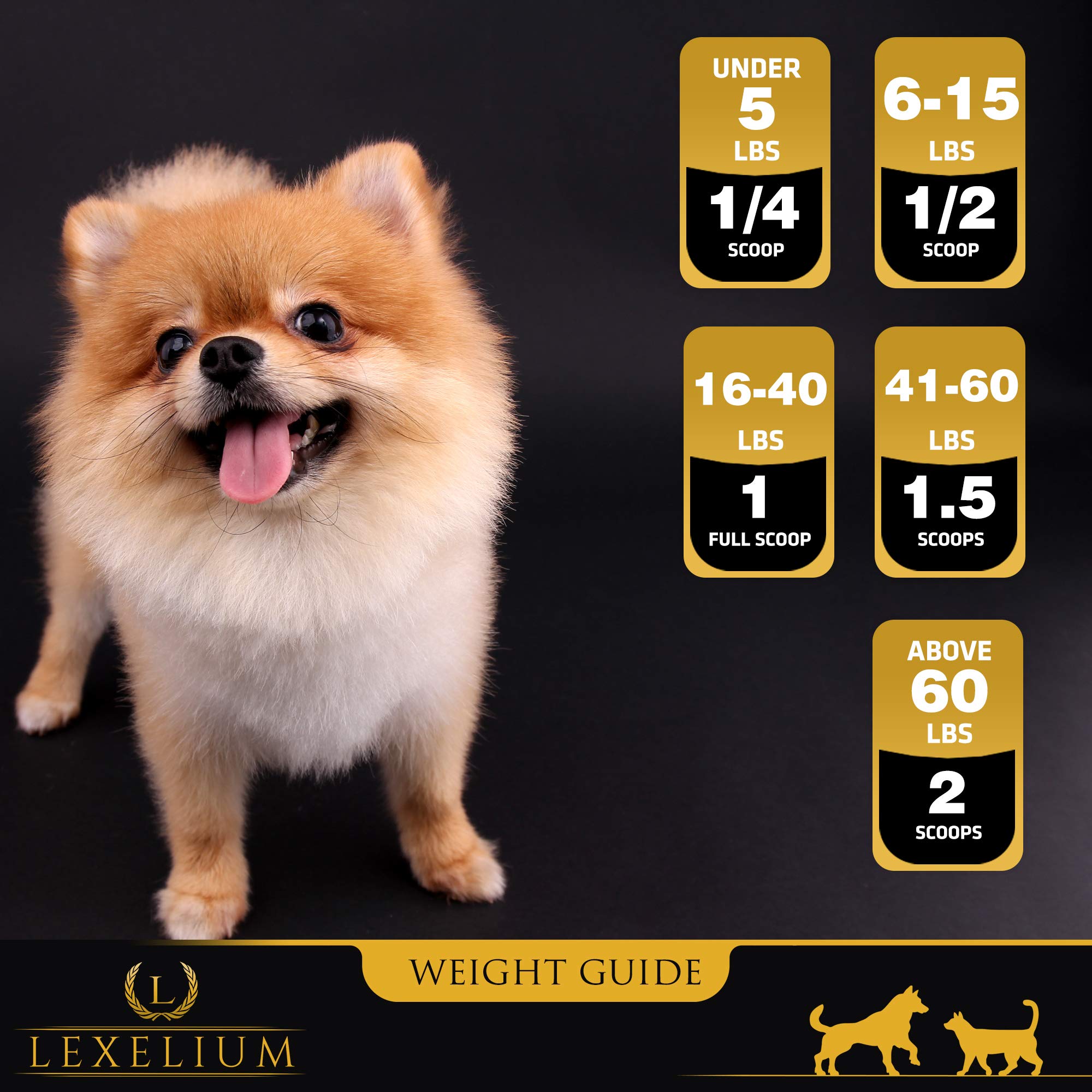 Puppy and kitten weight gain with Lexelium during training.