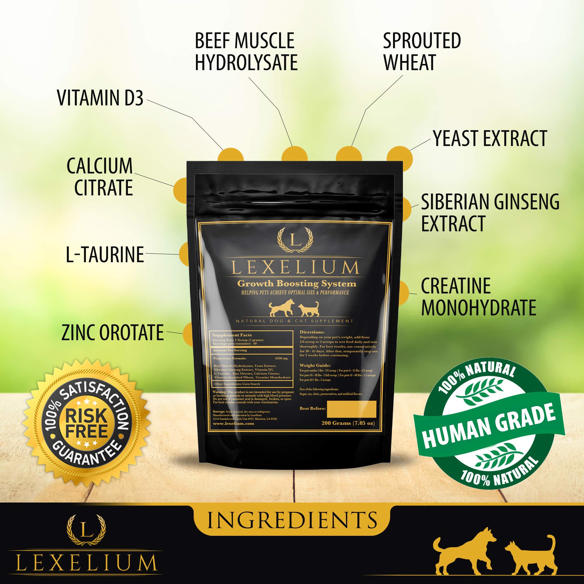 Lexelium weight gainer USA packaging highlights quality ingredients.