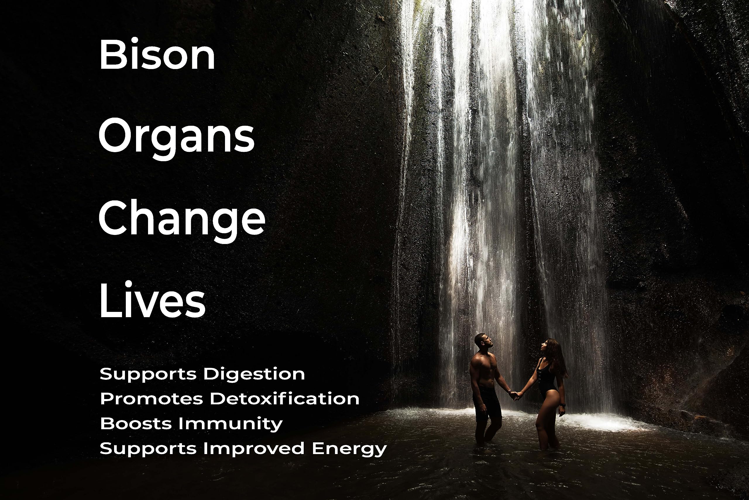 LGS Supplements Grass-Fed Bison Organ ingredients label highlight liver, heart, and kidney