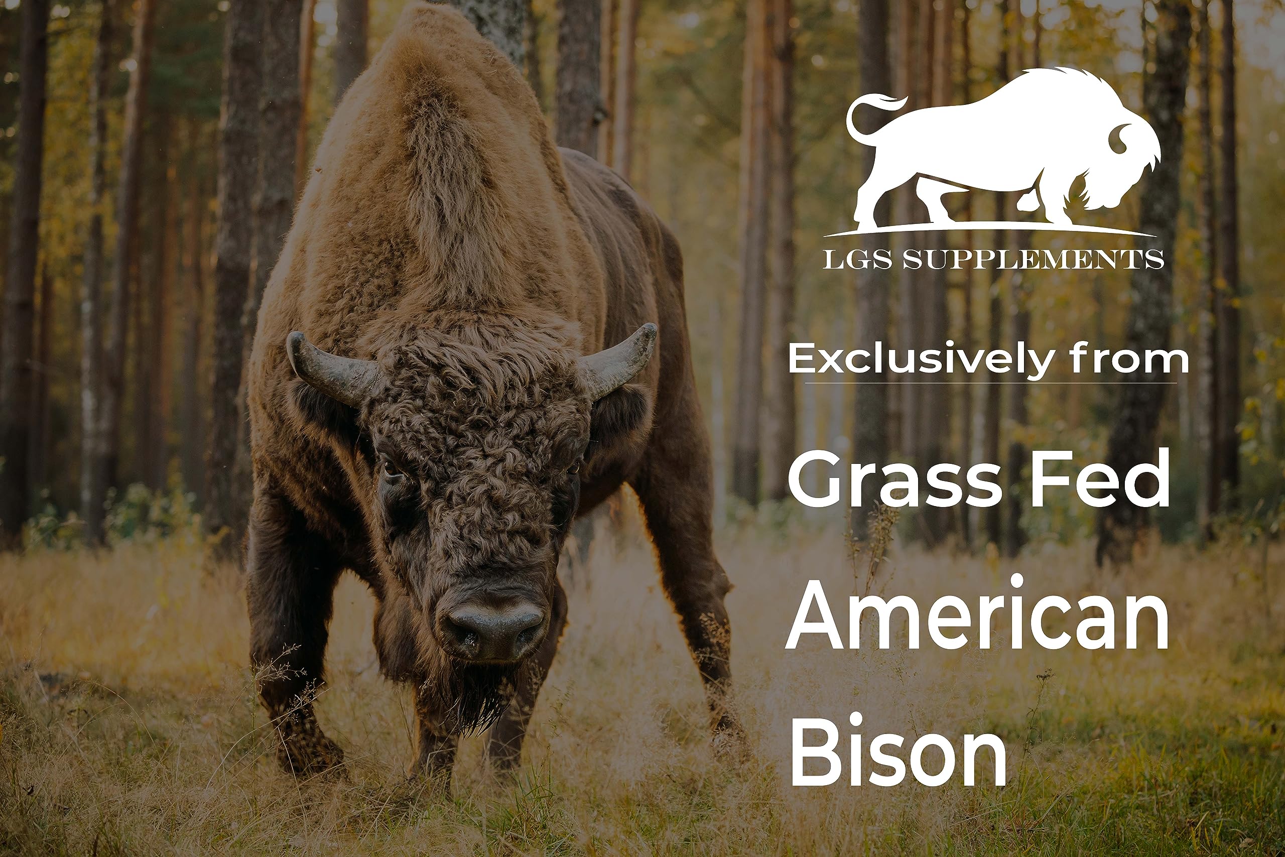 LGS Supplements Grass-Fed Bison Organ pour with easy-to-swallow capsules