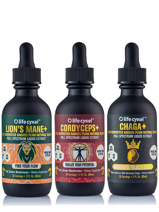 Life Cykel This Is It Pack bottle with chaga, for daily energy support
