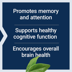 Life Extension Citicoline package on a desk emphasizing study-friendly supplementation.