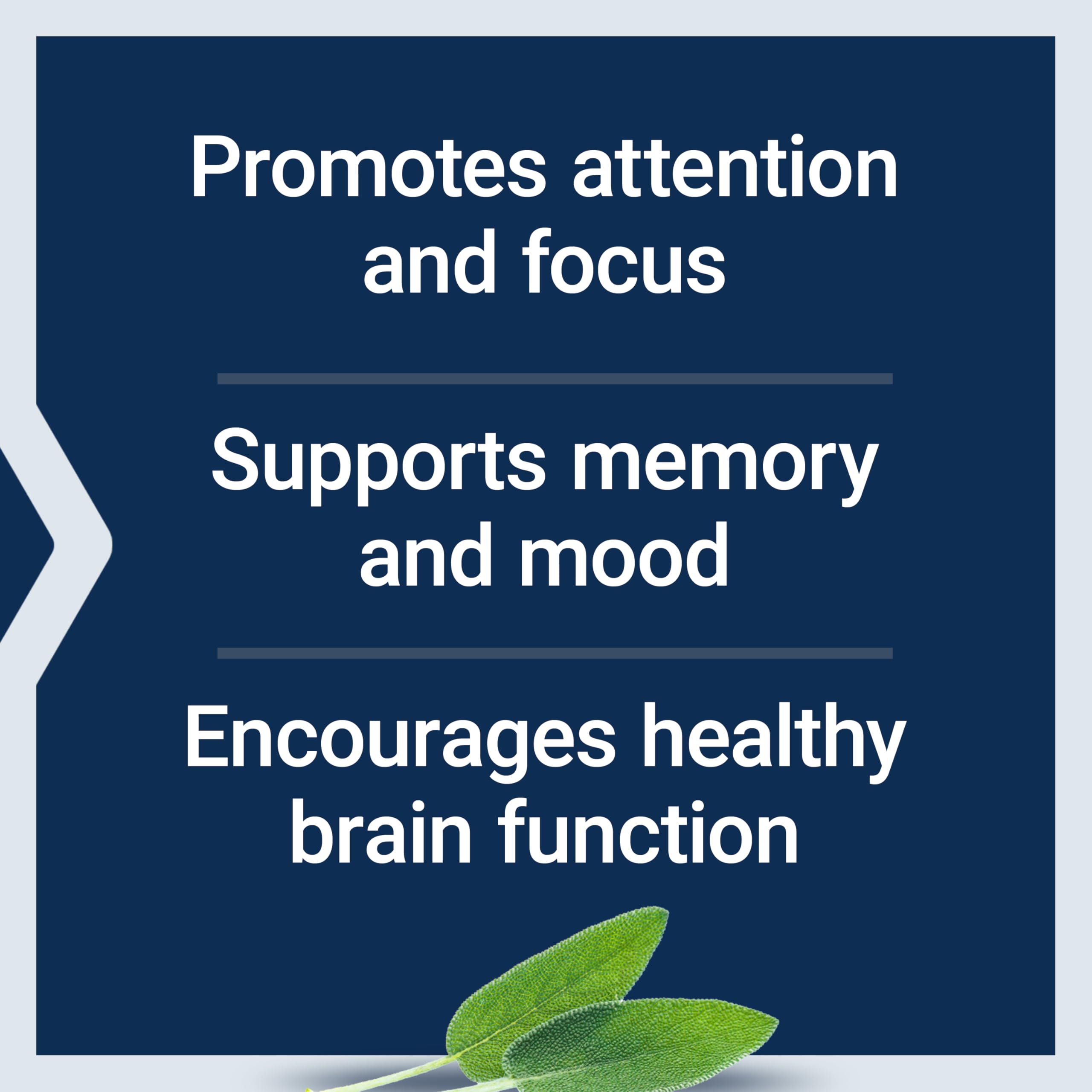 Life Extension Cognitex Elite Pregnenolone bottle on desk for daily focus during study
