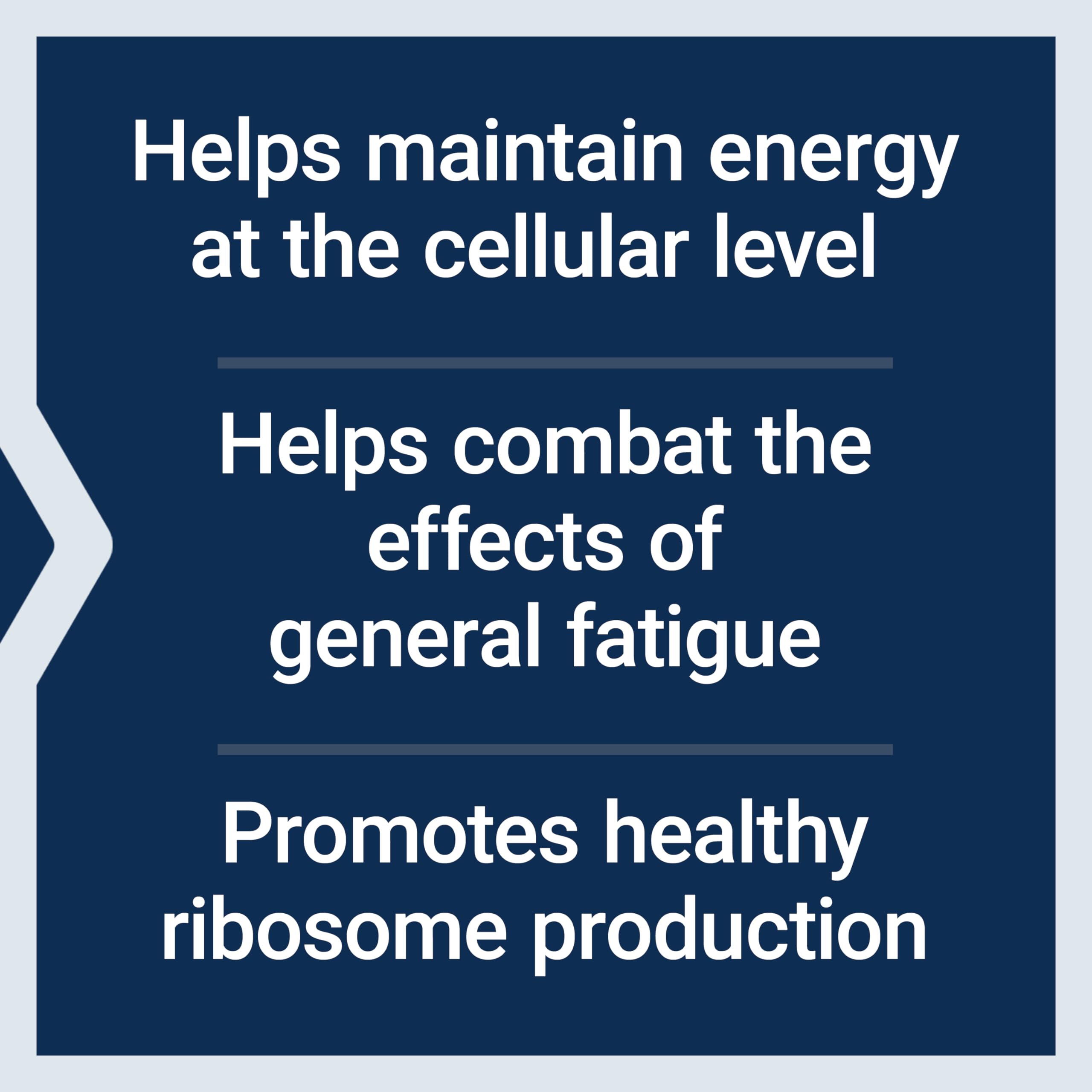 EnergyGain capsules in a row for convenient daily use