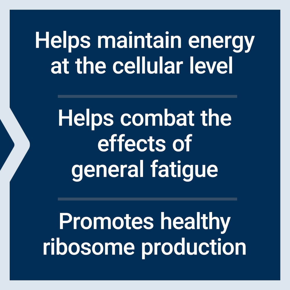 EnergyGain capsules in a row for convenient daily use