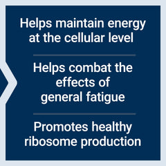 EnergyGain capsules in a row for convenient daily use